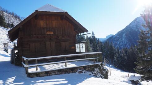 Spitzlsteinalm 1060m