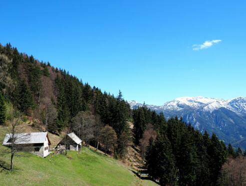 Filzmoseralm 1234m