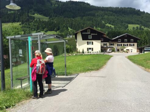 Haltstelle Mittelberg, Höfle