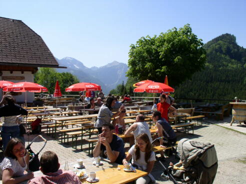 Hochstein Alm 907m (Sommer)