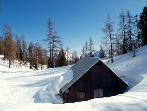 Albl Jagdhütte ~1700m