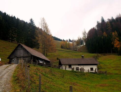 Menaueralm 1115m, Menauersattel im Hintergrund