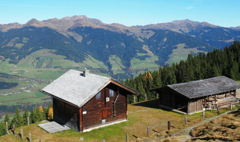 Pölsneralm 1704m