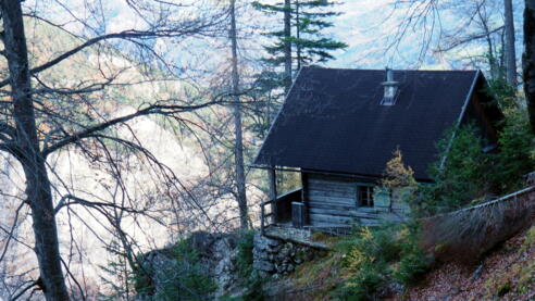 1170m Fuchsgabel-Jagdhütte