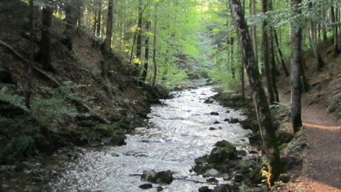 Helenenweg Wanderweg