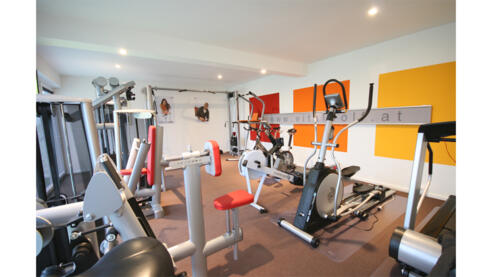 Vitalwolf Studio