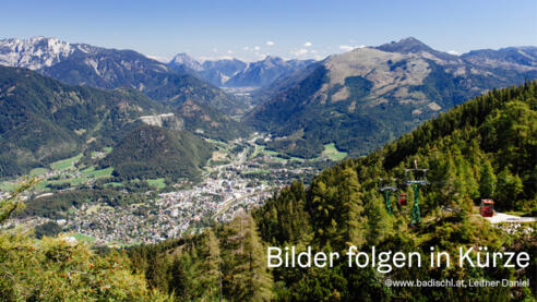 Bad Ischl Panorama