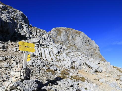 Mayrbergscharte mit dem Wagendrischlhorn im Hintergrund