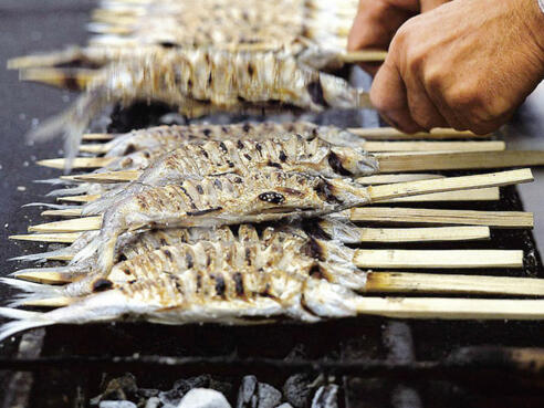Stangelfische