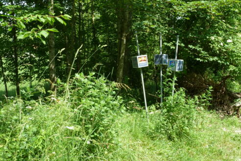 Trilogieplatz Altusried