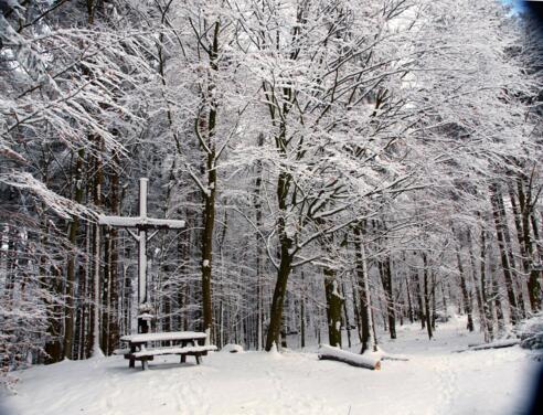 Nordgipfel mit Kreuz, 610m