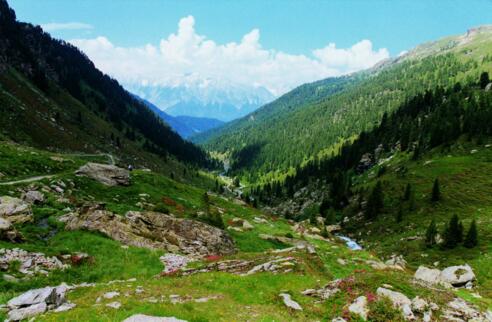 Almlandschaft um die Steinkasernalm