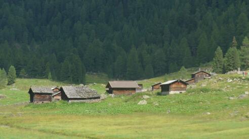 Die Vordere Trojeralm