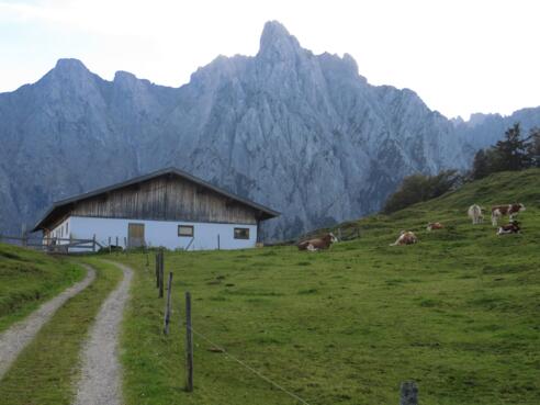 Untere Scheibenbichlalm