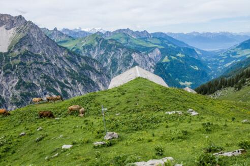 Obere Ischkarneialpe