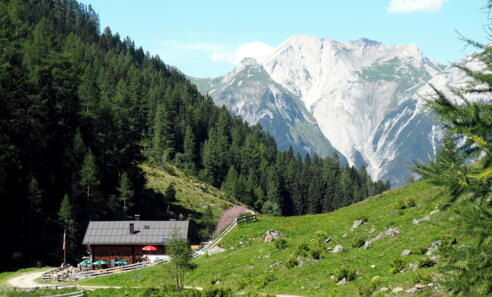 Vord. Malfonalpe 1687m