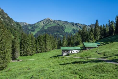 Blick auf Tonisgemstelalpe