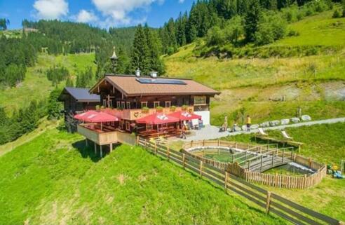 Wagrainer Alm