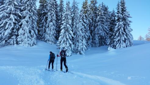 Skitourenroute Alpendorf