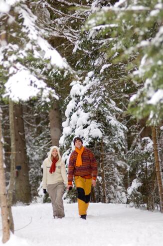 Winterwandern