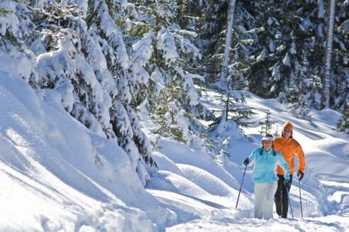 Langlaufen in Altenmarkt-Zauchensee