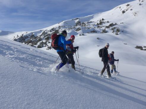 Abstieg vom Schnurschrofen in Richtung Vilsalpsee