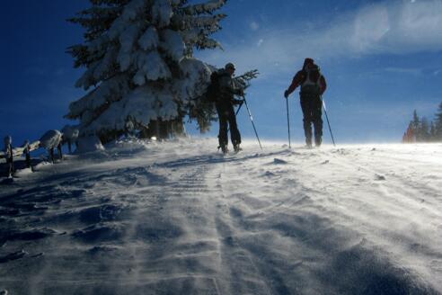Auf dem Weg zur Sattelbergalm