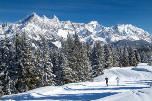 Höhenloipe Rossbrand - NEU