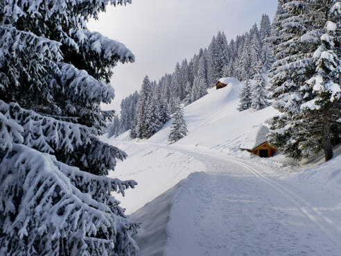 Schmuseweg Unterdamüls 