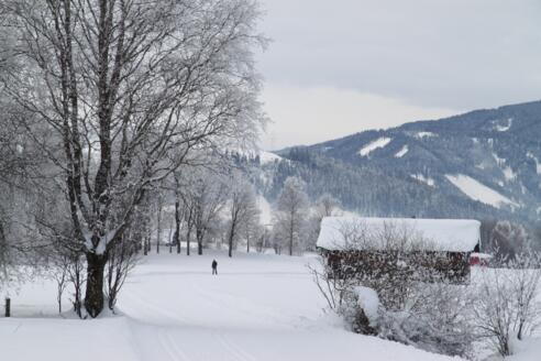 Langlauf Radstadt - Untertauern