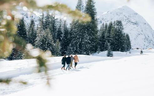 Älpele - Spullerwald - Tannlägeralpe - Zug
