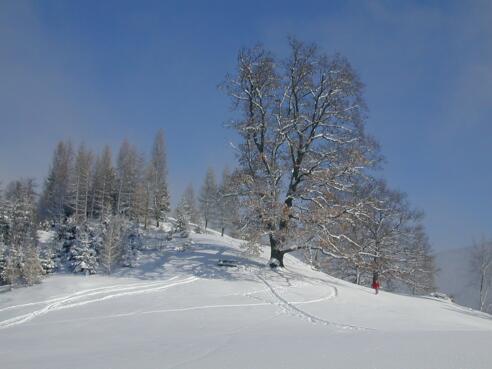 Winterlandschaft