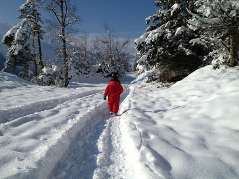 Winterwandern auf der Brazer Allmein - auch schon die ganz Kleinen sind dabei!