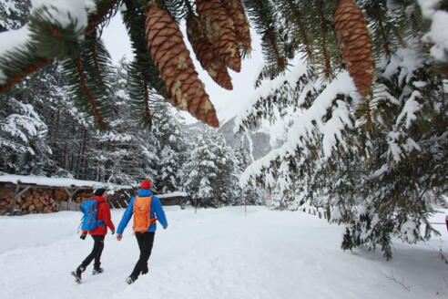 Panoramaweg Hinterhornbach