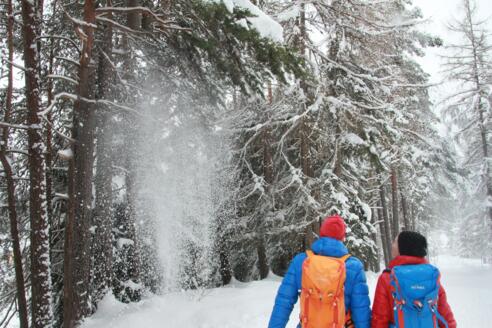 Stanzach-Schneckenwaldbodenrunde