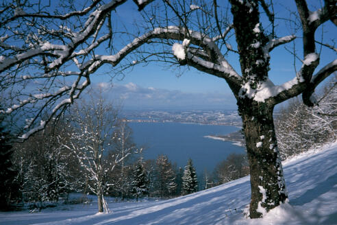 Ausblick vom Hintermoos