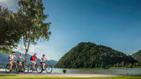 Donauradweg bei Schlögen