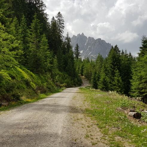 Ausblick auf die Mandlwände