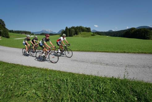 Der Wilde Kaiser im Hintergrund