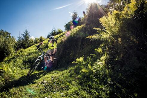 Biken am Kitzsteinhorn im Grünen