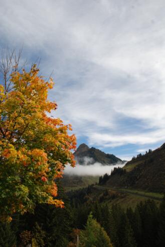 Blick zur Galerie und Zafernhorn Faschina