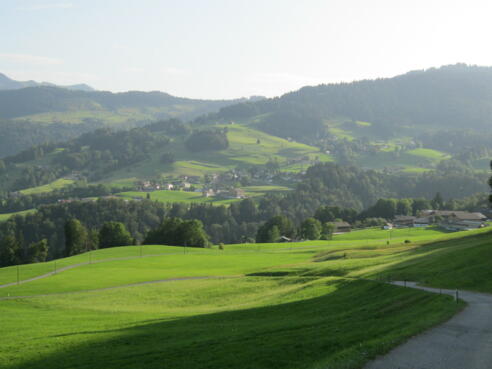Ausblick