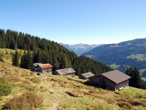 Brandalpe