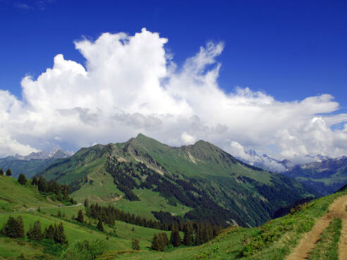 Glatthorn