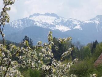 Kampenwand Salmerhof