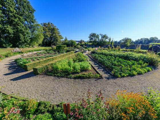 Klostergarten Gemüsesonne