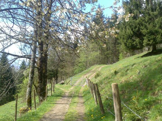 Der Höhenweg im Frühling