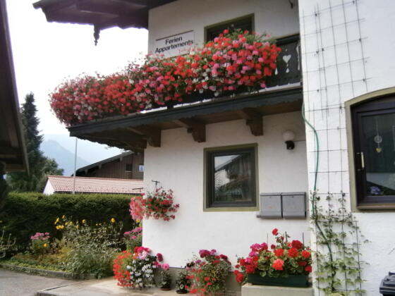 Seitenansicht vom Haus