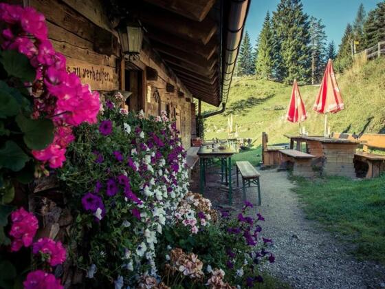Brentenjochalm Wandern Einkehr  Terrasse Nazurerlebnis Kaisergebirge Alm Hütte