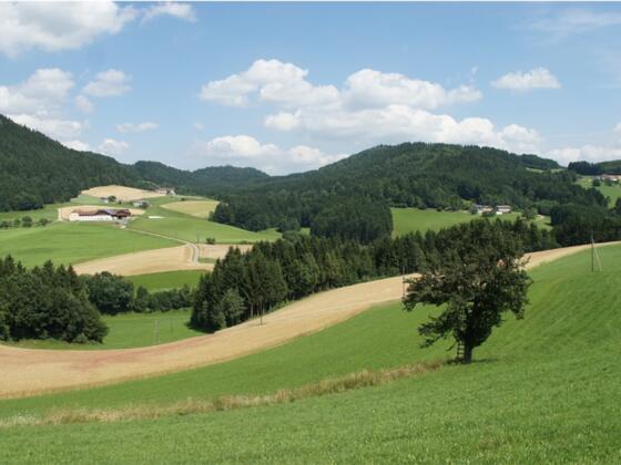 Wellige Landschaften erradeln